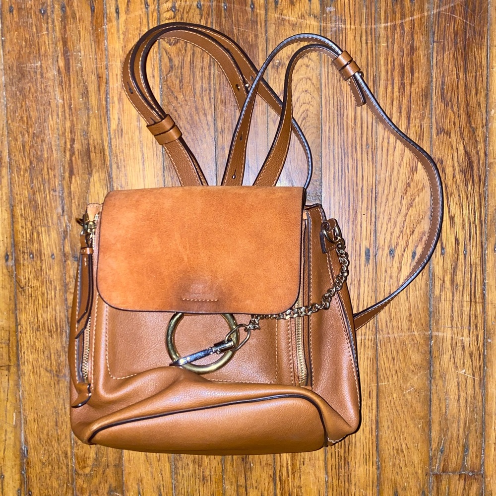 Chloe  Faye backpack